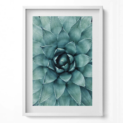 Tablou living cu rama modern Plantă suculentă verde