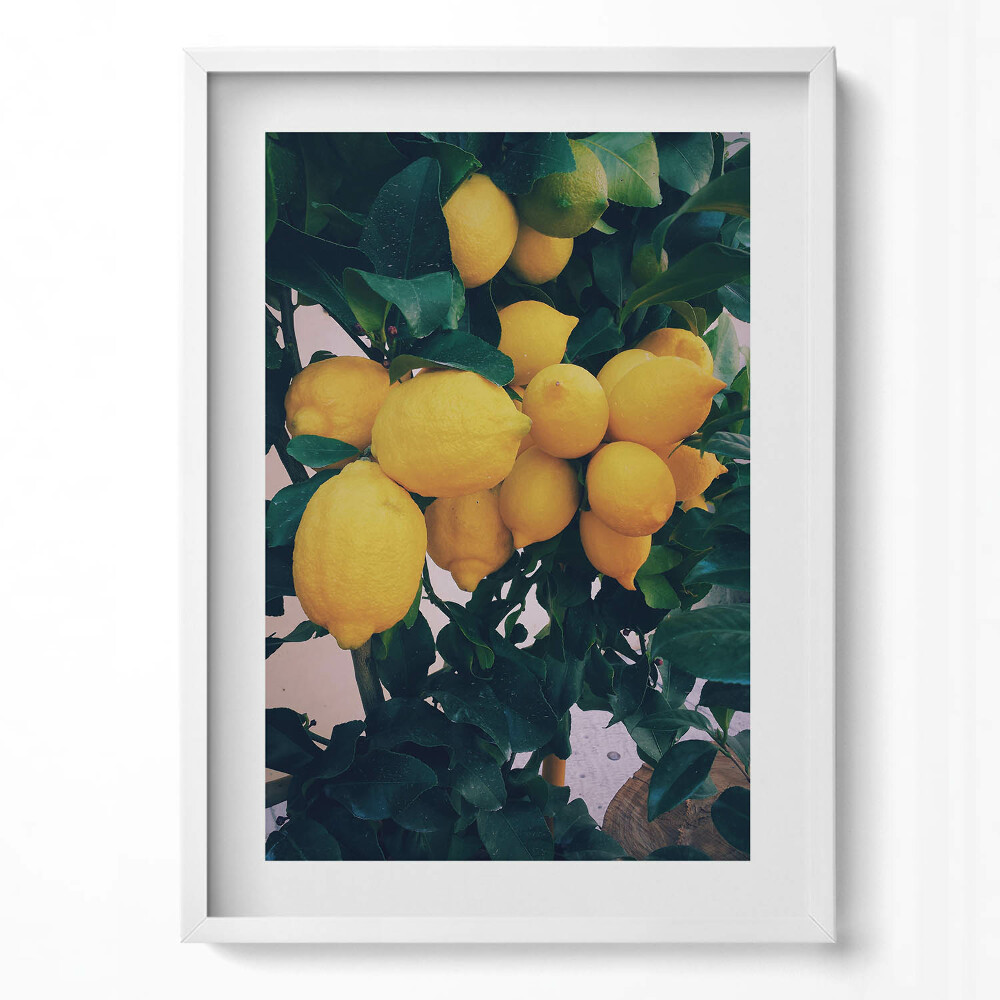 Tablou living cu rama modern Lămâi galbene coapte