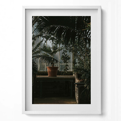 Tablou rama modern Plante vintage pe fereastră