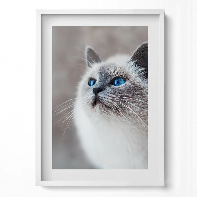 Tablou living cu rama modern Un peisaj liniștit al unui lac de iarnă