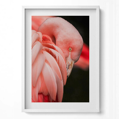 Tablou rama modern Pasărea flamingo roz