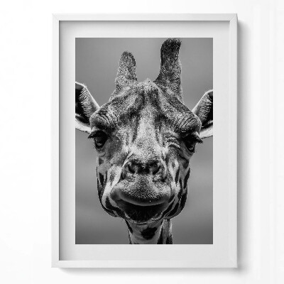 Tablou living cu rama modern Cap de girafă alb-negru
