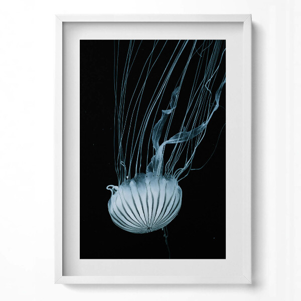 Tablou rama modern Meduze pe fundal negru