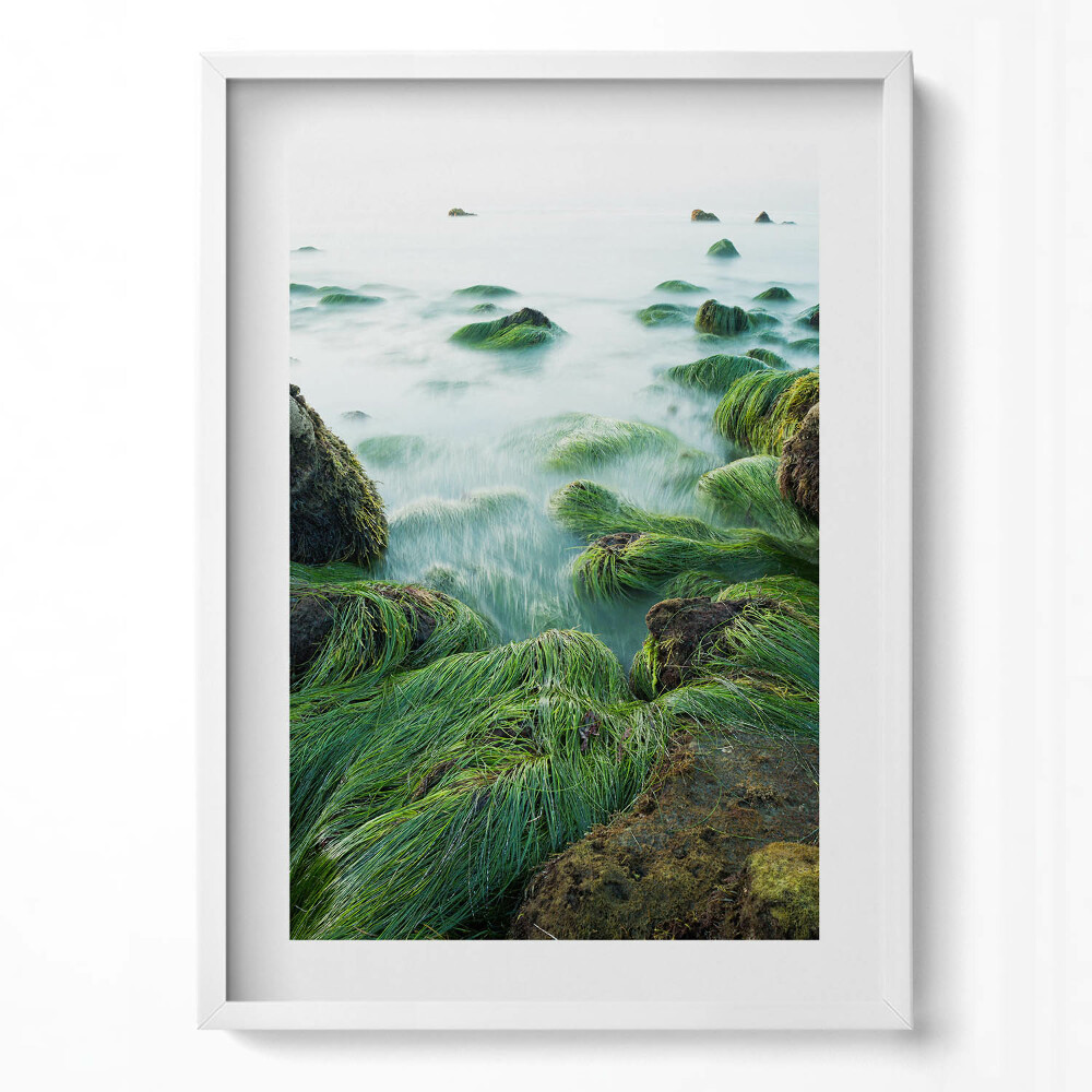 Tablou rama modern Ierburi pe malul râului