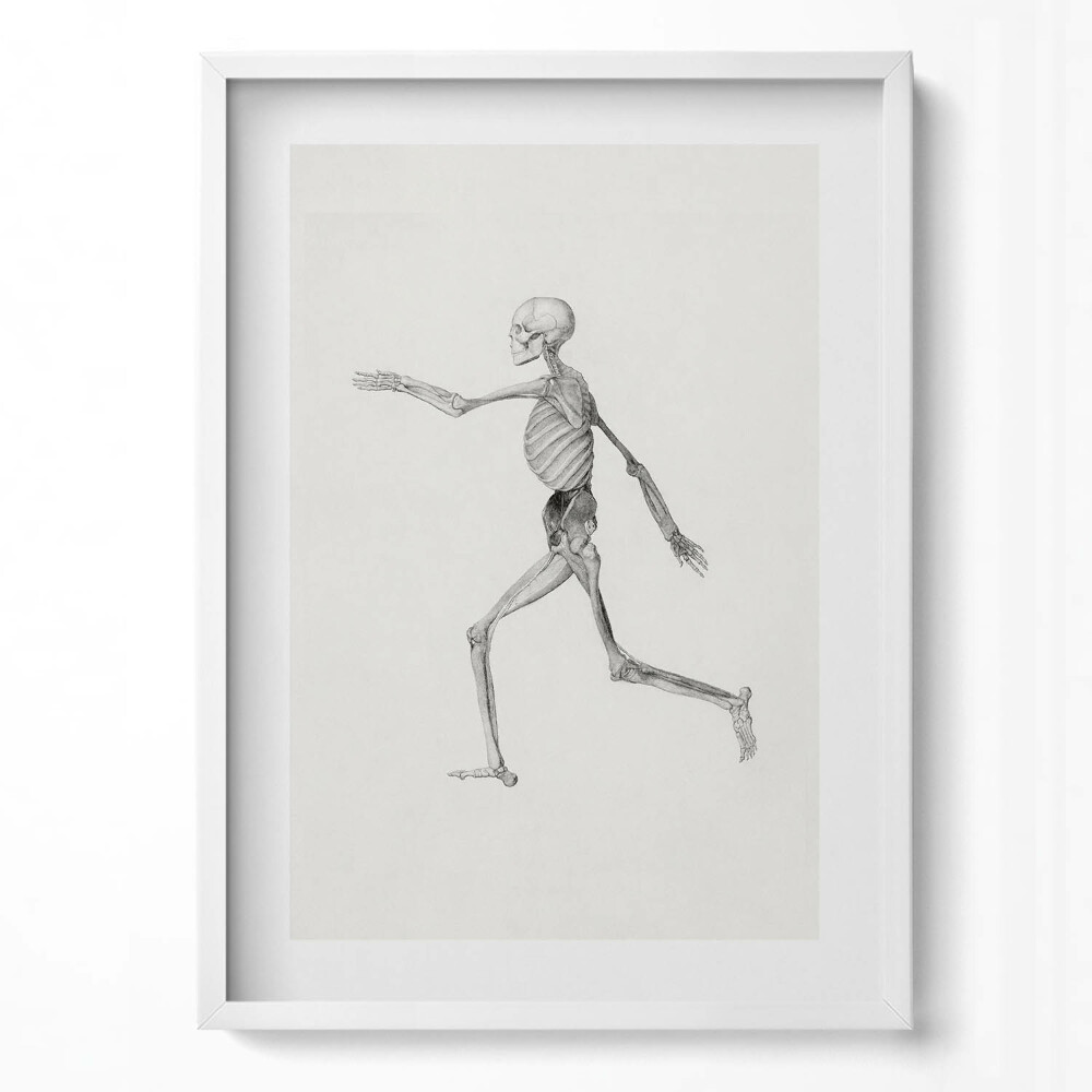 Tablou living cu rama modern Un desen al unui schelet