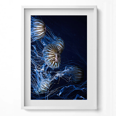 Tablou living cu rama modern Meduze albastre în apă