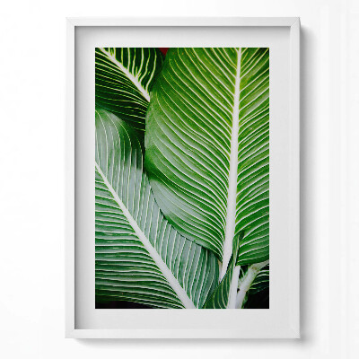 Tablou living cu rama modern Frunze verzi exotice