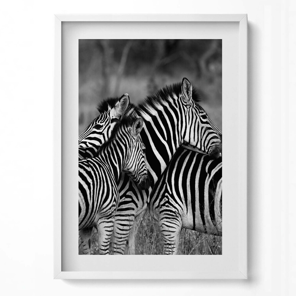 Tablou rama modern Zebre care se îmbrățișează