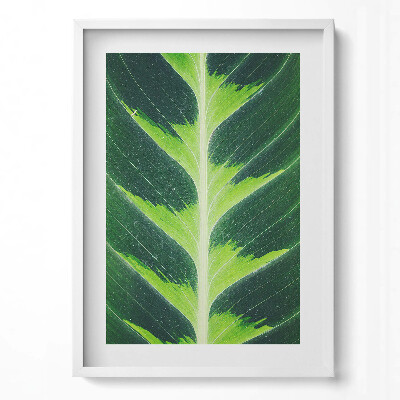 Tablou rama modern Textura și nervurile frunzelor