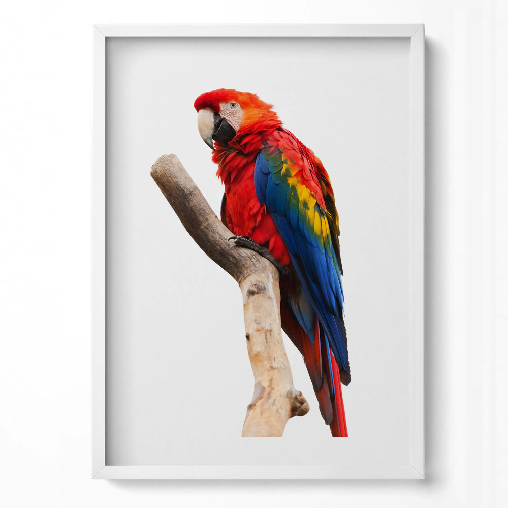Tablou living cu rama modern Papagal macaw colorat pe o ramură