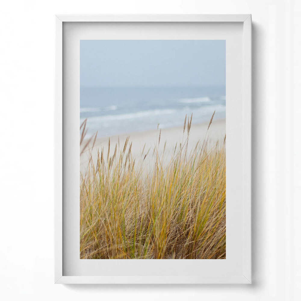 Tablou living cu rama modern Peisaj de plajă și iarbă de pe malul mării