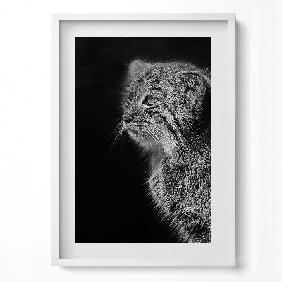 Tablou rama modern Lynx pisică sălbatică în alb și negru