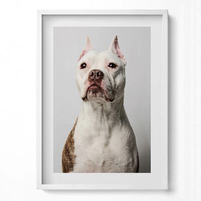 Tablou rama modern Portretul unui câine demn