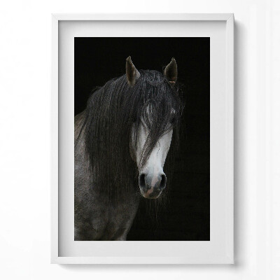 Tablou living cu rama modern Cap de cal gri