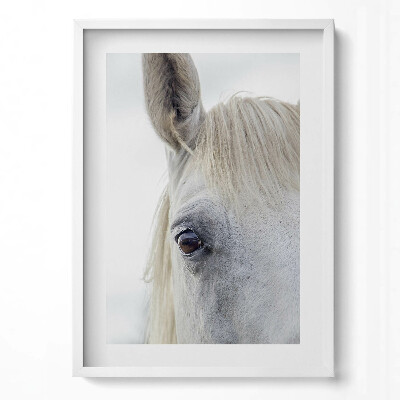 Tablou rama modern Cap de cal alb