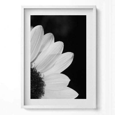 Tablou living cu rama modern Petale de margarete în alb și negru