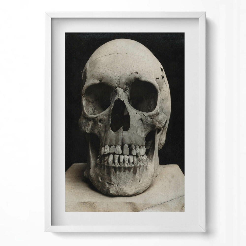 Tablou living cu rama modern Schelet de craniu uman