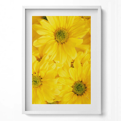 Tablou living cu rama modern Petale de flori