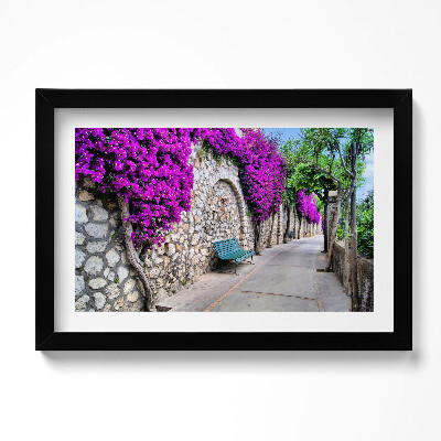 Tablou rama original Calea cu flori în Capri, Italia