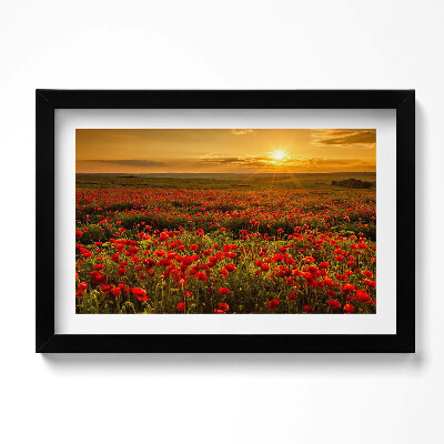 Tablou living cu rama original Peisaj al unei pajiști cu flori de mac