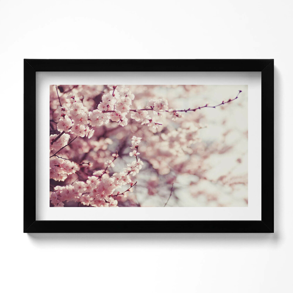 Tablou living cu rama original Flori de primăvară înflorite