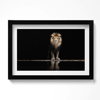 Tablou living cu rama original Leu sălbatic, animal singuratic