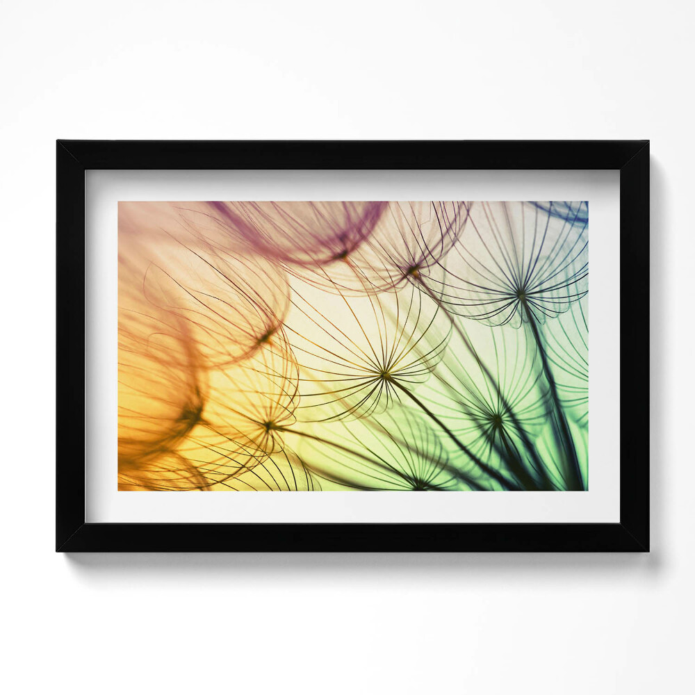 Tablou living cu rama original Polen delicat de păpădie