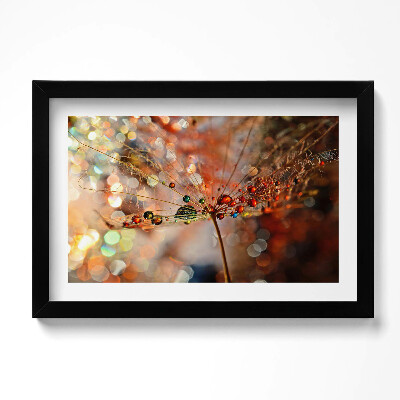 Tablou living cu rama original Păpădie și rouă