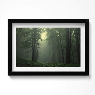 Tablou living cu rama original Pădurea încețoșată dimineața