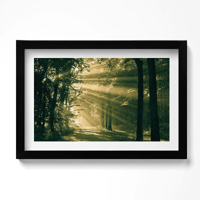 Tablou living cu rama original Razele soarelui în pădure