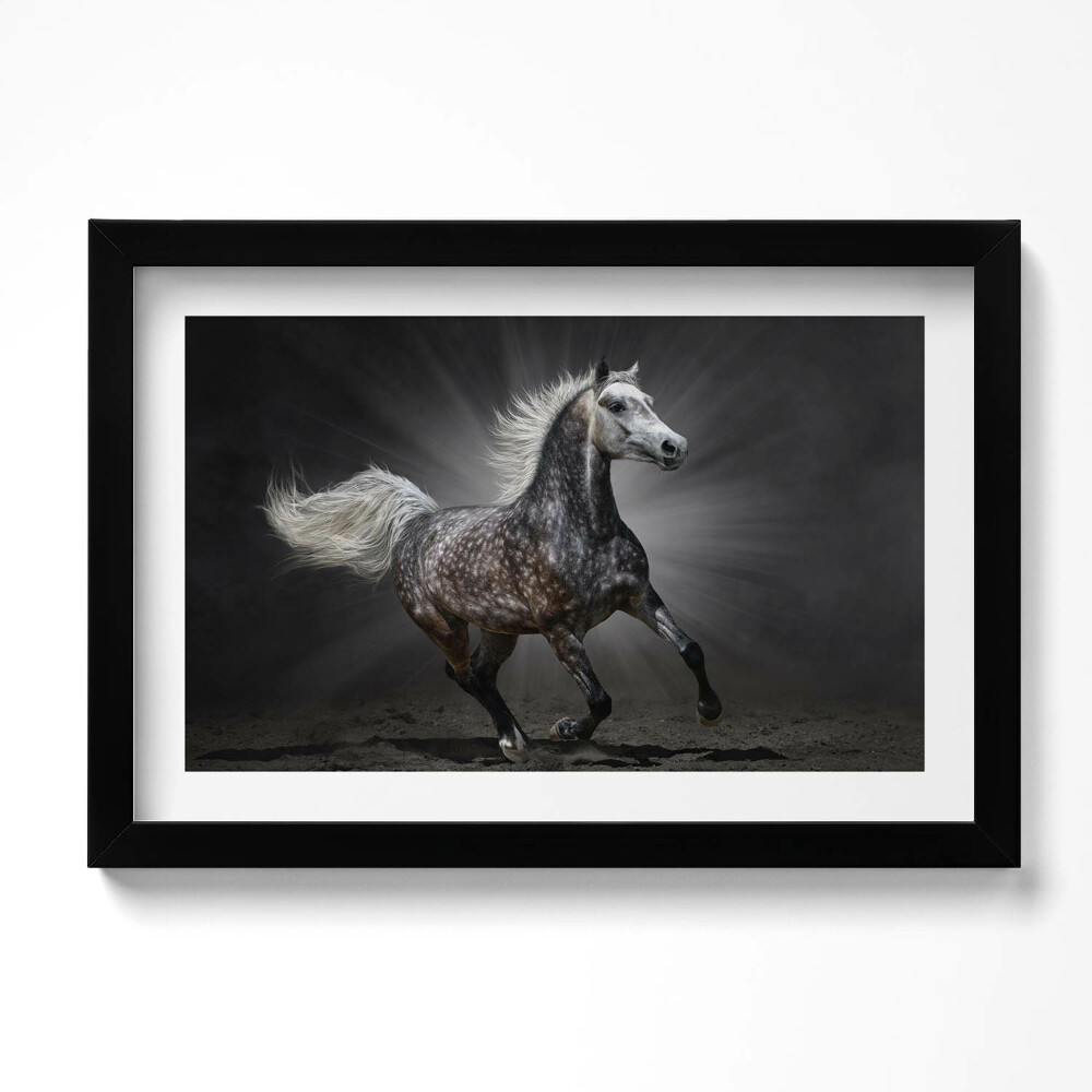 Tablou living cu rama original Calul galopant