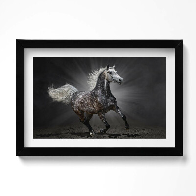 Tablou living cu rama original Calul galopant