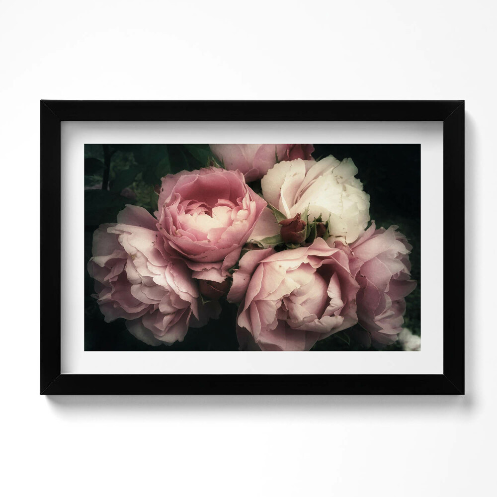 Tablou living cu rama original buchet de trandafiri roz vintage