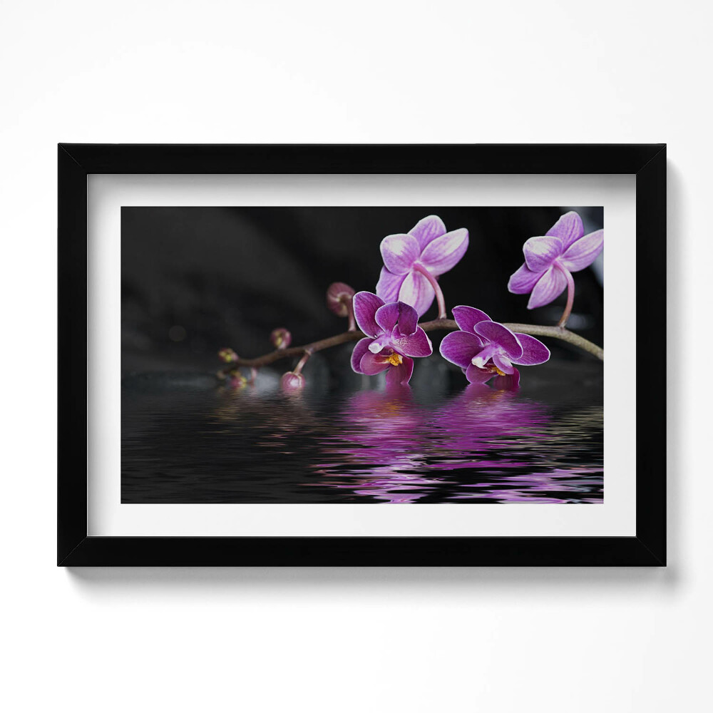 Tablou living cu rama original Orhidee roz pe apă