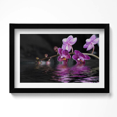 Tablou living cu rama original Orhidee roz pe apă