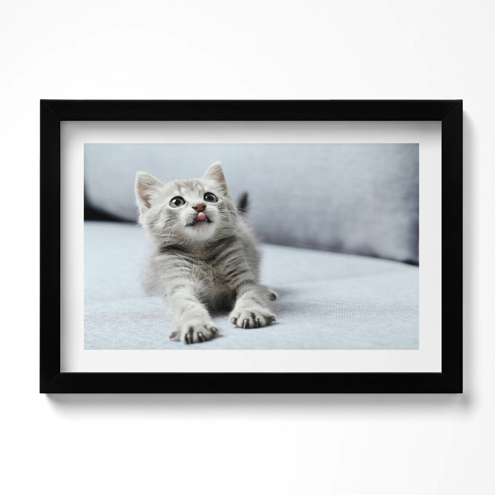 Tablou rama original Pisicuță adorabilă pe canapea