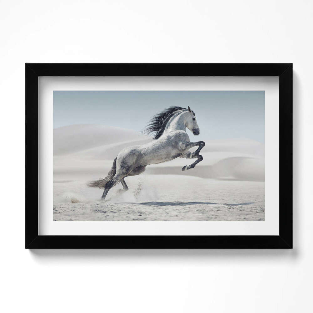 Tablou rama original Cal alb galopant