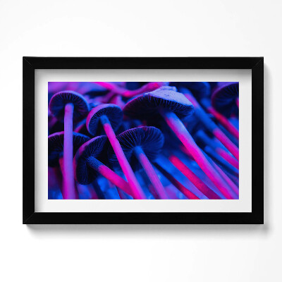 Tablou rama original Ciuperci magice colorate