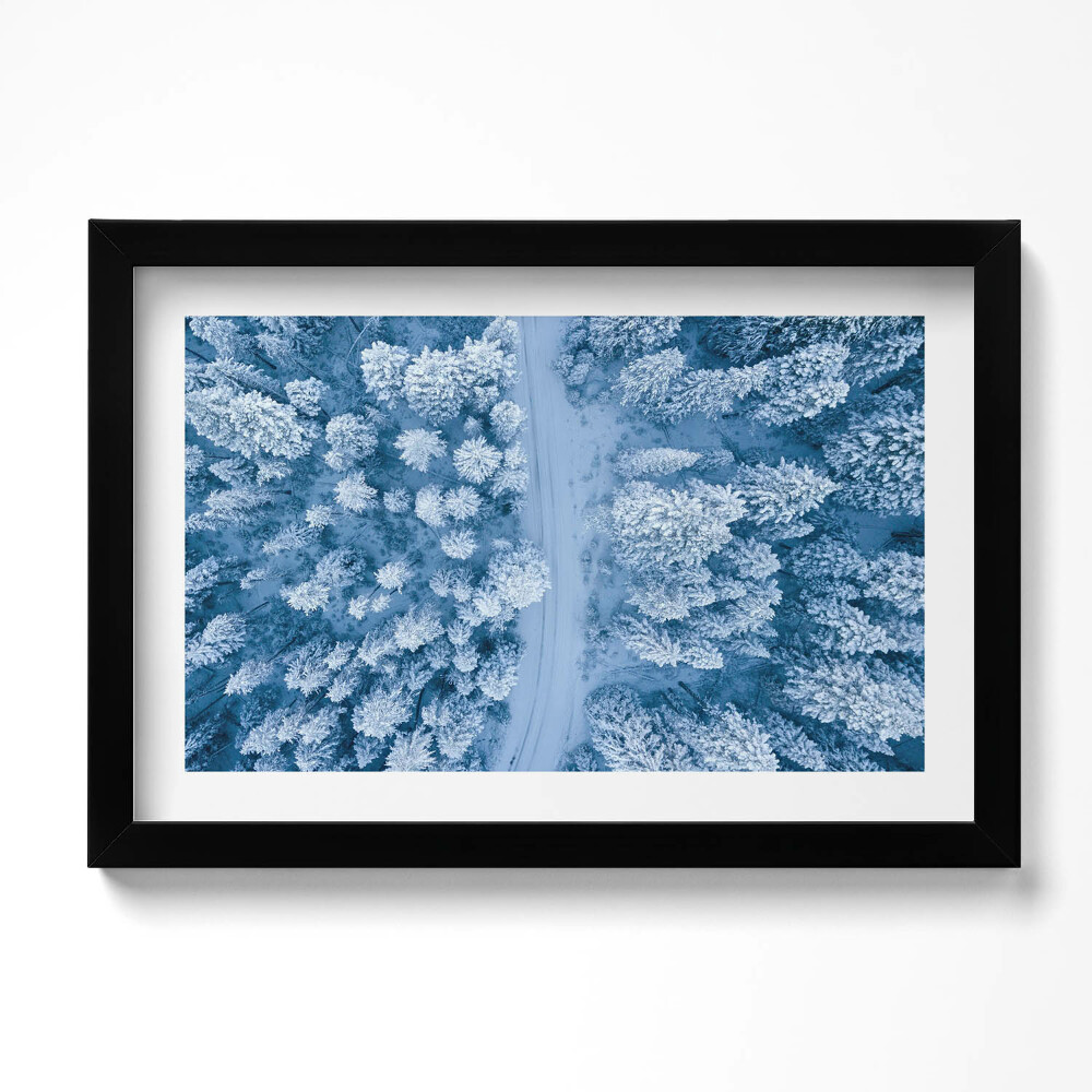 Tablou rama original Pădurea din vedere dinspre o pasăre, cu dronă