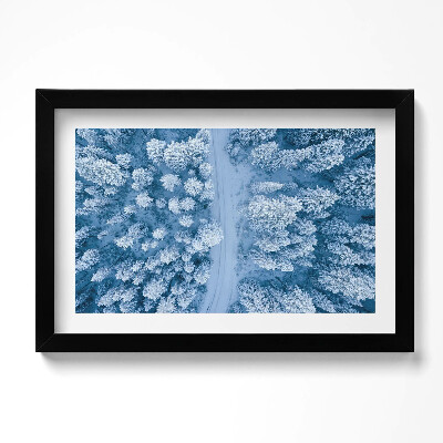 Tablou rama original Pădurea din vedere dinspre o pasăre, cu dronă