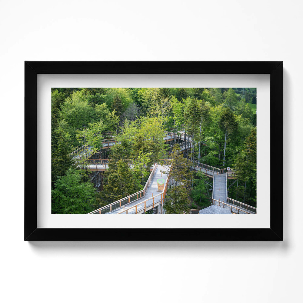 Tablou rama original Calea în Krynica Zdrój