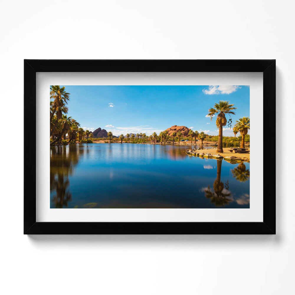 Tablou living cu rama original Peisajul parcului Papago