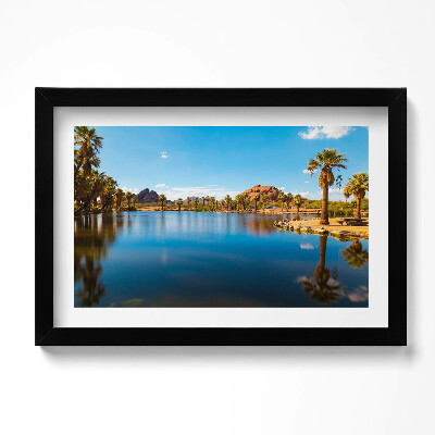 Tablou living cu rama original Peisajul parcului Papago