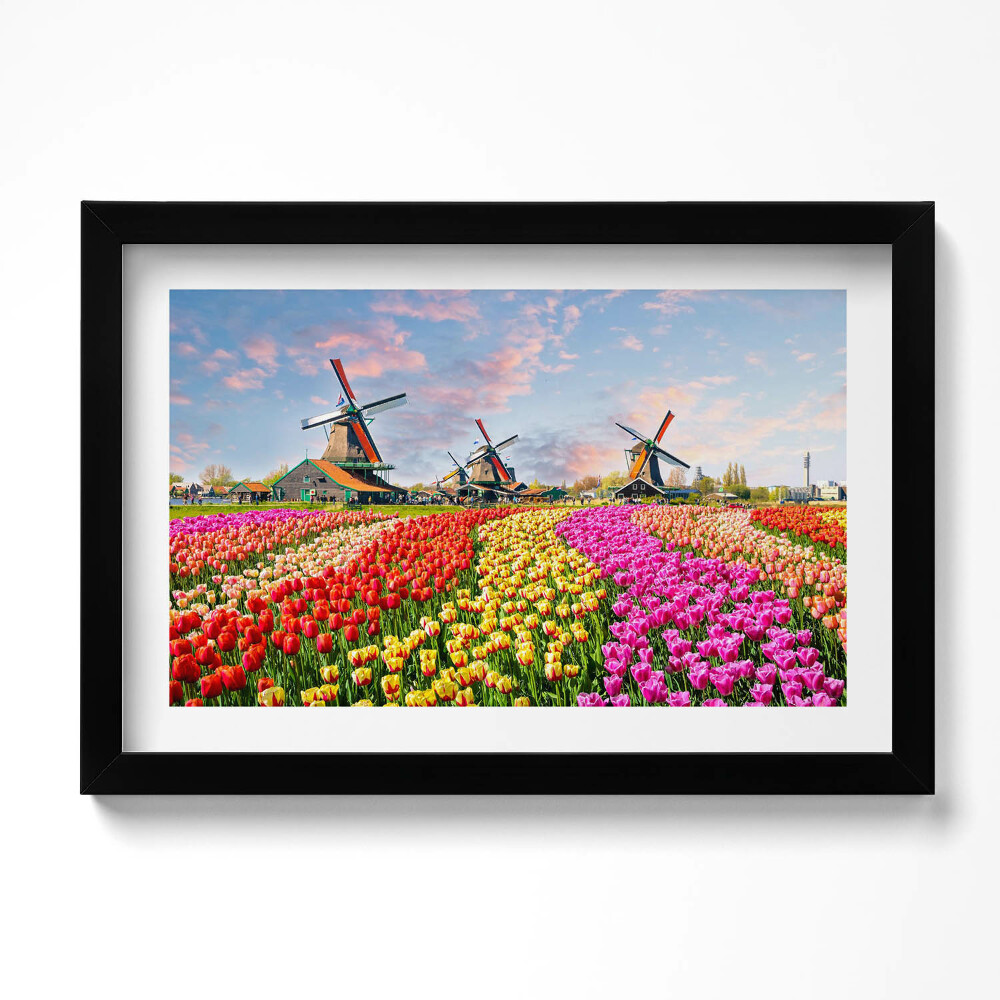 Tablou rama original Peisaj cu lalele Olanda