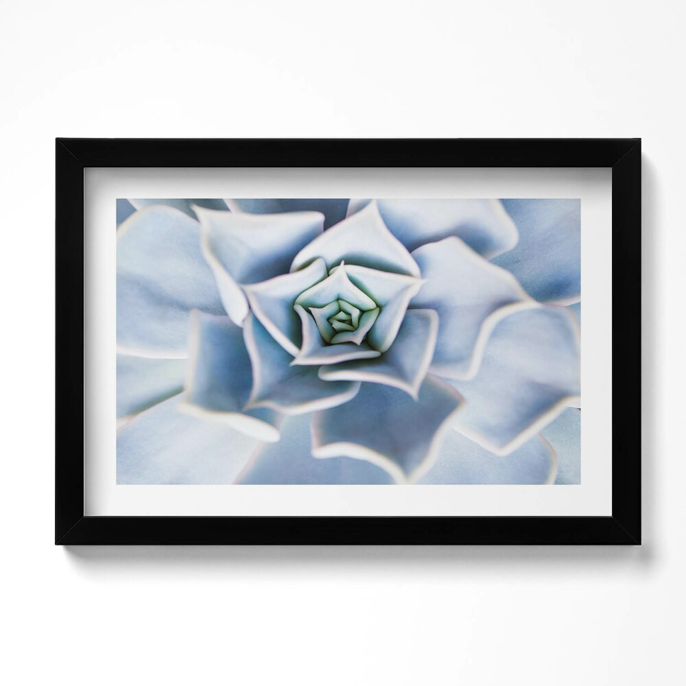 Tablou living cu rama original Floare de plantă