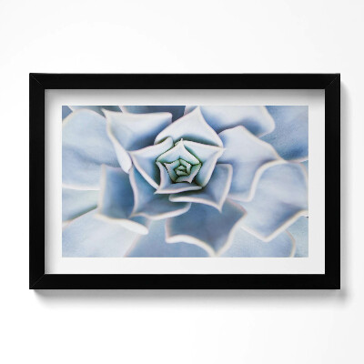 Tablou living cu rama original Floare de plantă