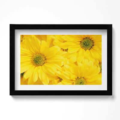 Tablou rama original Petale de flori