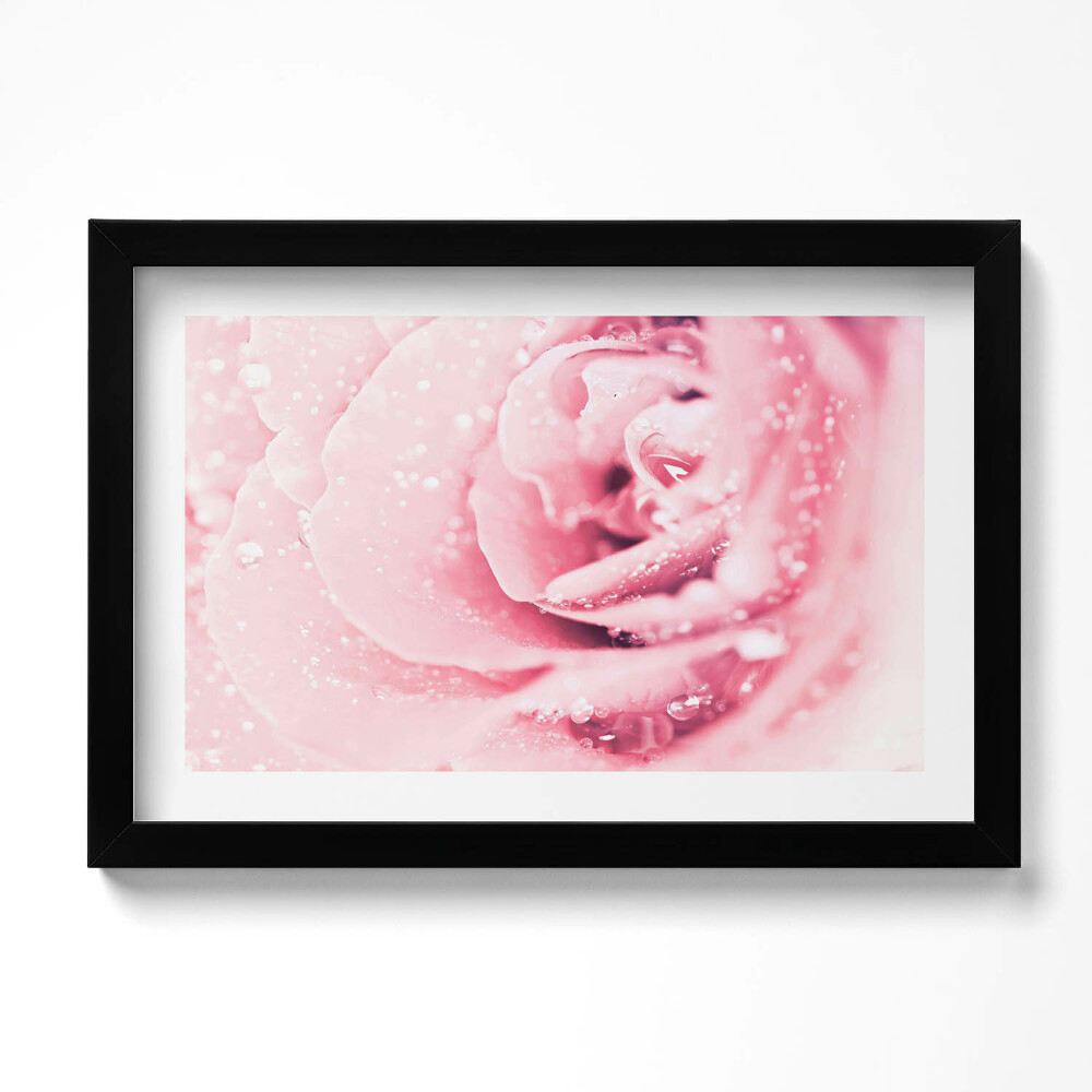 Tablou rama original Picături de rouă și flori de trandafir