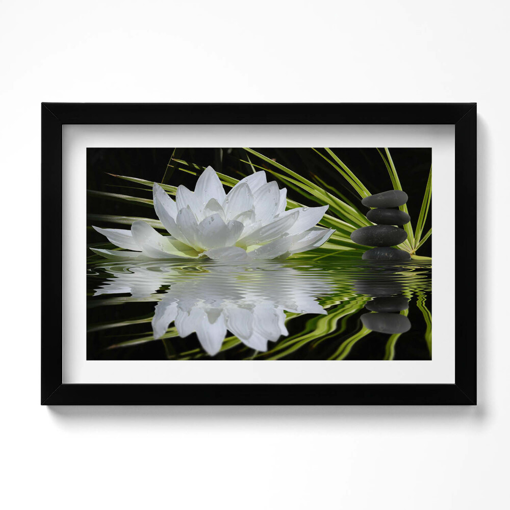 Tablou rama original Nufăr și frunze