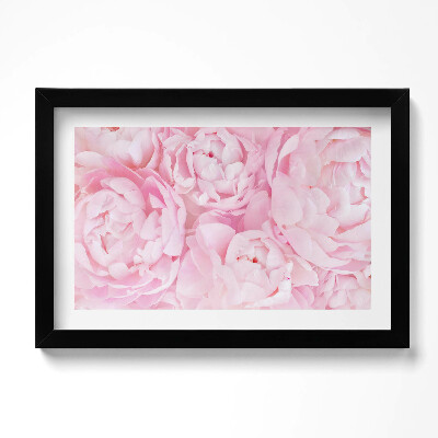 Tablou rama original Bujori delicați